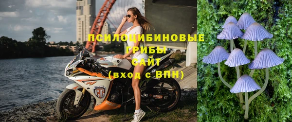 таблы Медногорск