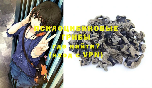 a pvp Медвежьегорск